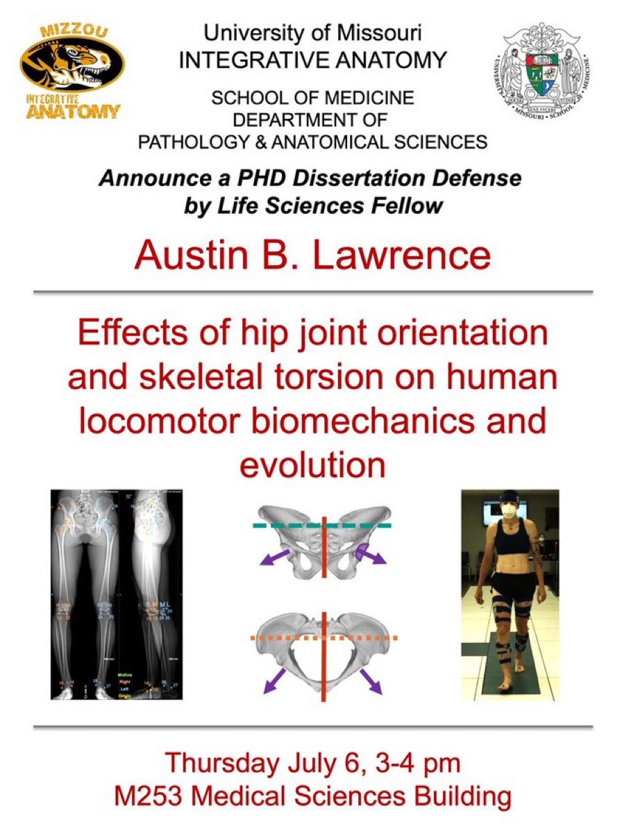 Mizzou Integrative Anatomy (@anatomymizzou) on Twitter photo Looking forward to Austin Lawrence’s dissertation defense! <a href="/Anthro_Austin/">Austin Lawrence</a> <a href="/AnatomyGrads/">Integrative Anatomy</a> <a href="/mumedicine/">MU School of Medicine</a> Looking forward to Austin Lawrence’s dissertation defense! <a href="/Anthro_Austin/">Austin Lawrence</a> <a href="/AnatomyGrads/">Integrative Anatomy</a> <a href="/mumedicine/">MU School of Medicine</a>