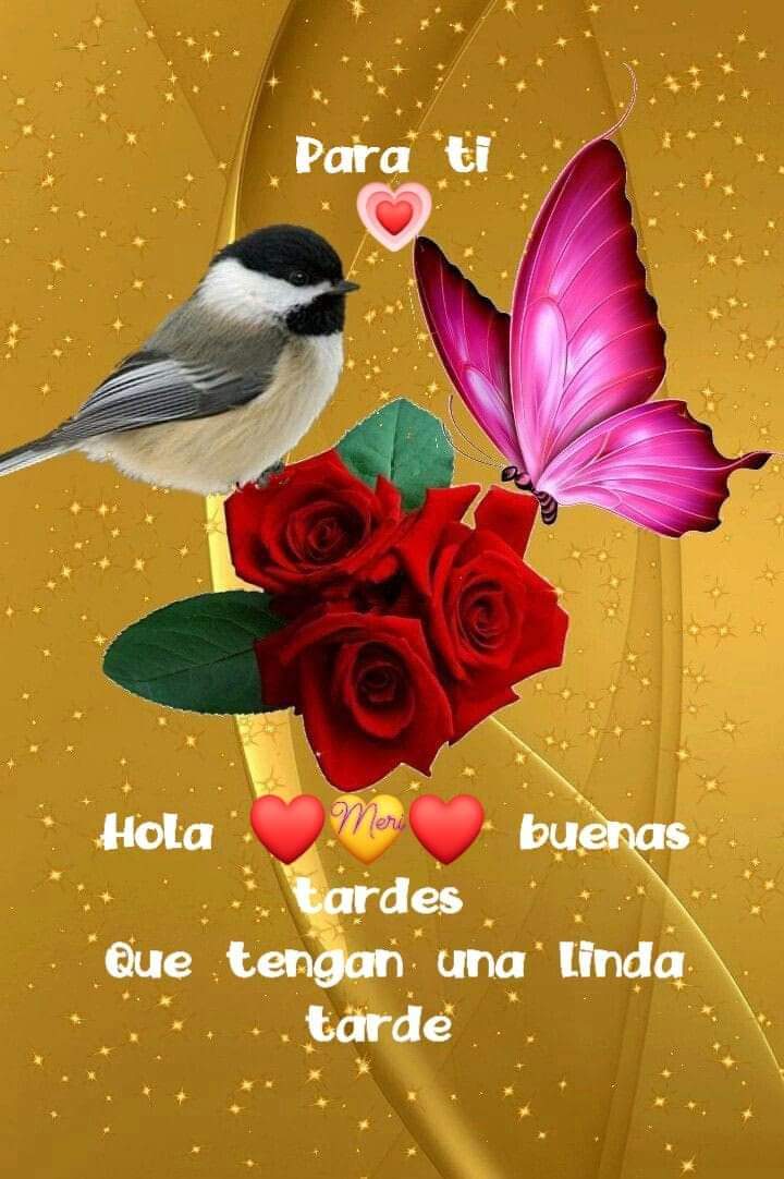LupeRuiz02's tweet photo. https://t.co/pmYFdwyJGW