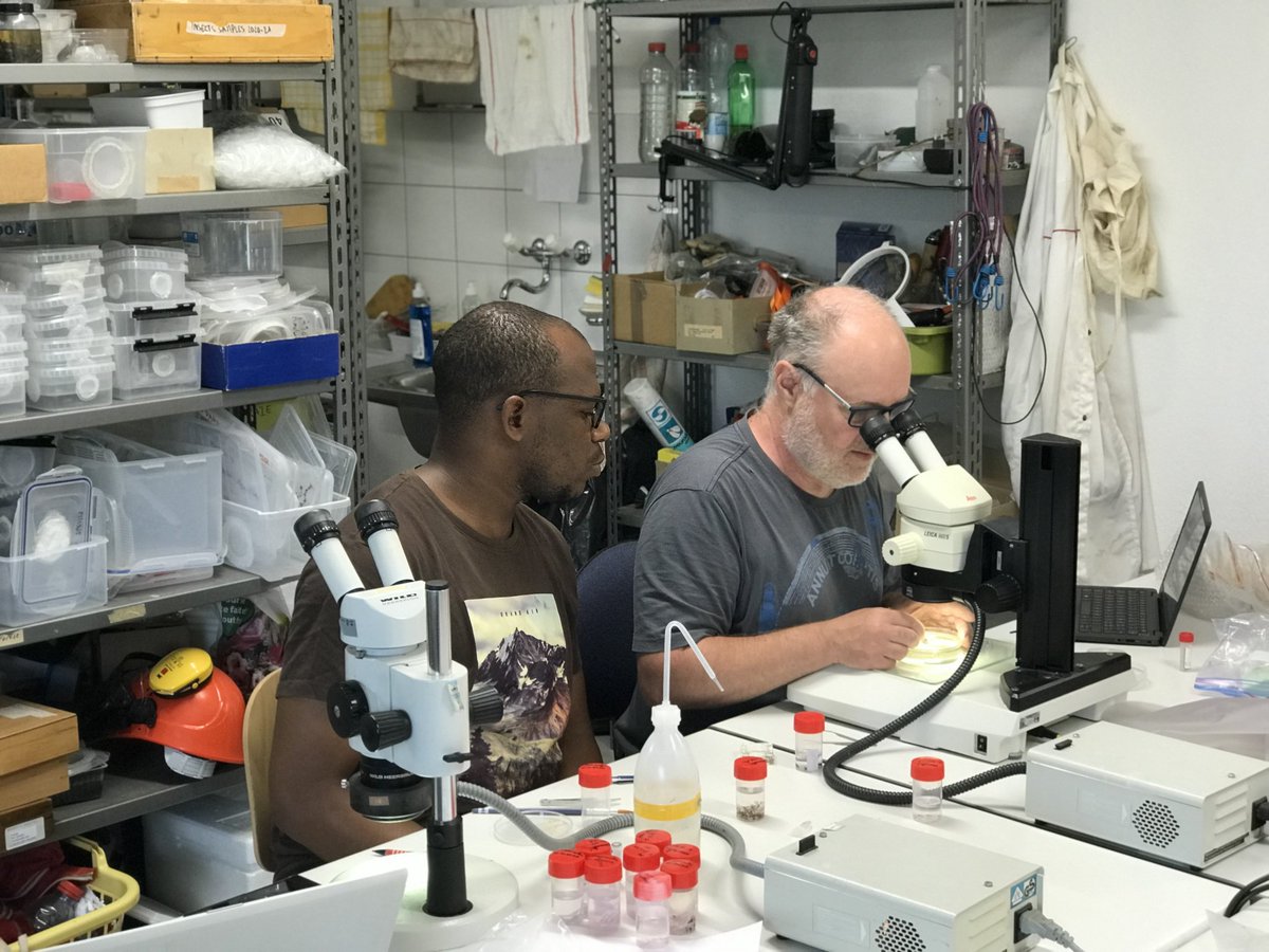 MarcellinCuma's tweet photo. For a short research stay at CABI Delémont/Switzerland, I had the privilege to work with #Marc #Kenis, an Entomologist and specialist in insect parasitoids identification. 

I look forward to seeing the results of this collaboration.
@CABI_Invasives
@fredwaremme @UEAOfficielle https://t.co/PQ9l1ciMMt