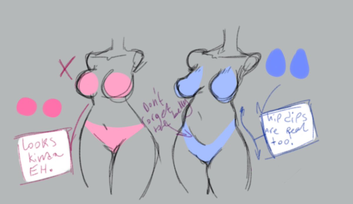 Bazingadvfjgx's tweet photo. How to draw female anatomy (The Right Way) https://t.co/1rJlF31B7Q