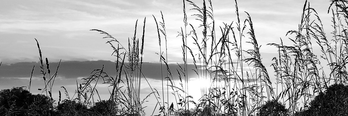 .  ❥      
       ॐ

On peut
Rêver
Les yeux
Ouverts

On peut
Aimer
Sans rien
Attendre

Juste
Nos souffles
À la joie

.  ❥      
       ॐ 
#6mots 

✒️ 📸 Môa