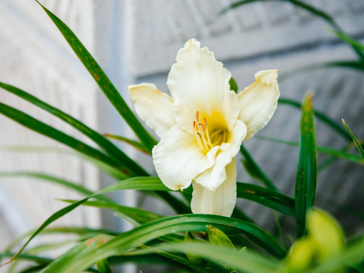 Mizzou Education & Human Development tweet media