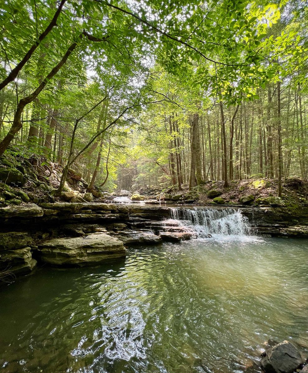 mac_cheeves's tweet photo. farm🌾 to falls💧

🎶 @pecos_rooftops #worstway https://t.co/d21LMIs62O
