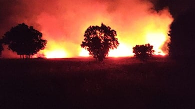 Yer: Diyarbakır'ın Hani ilçesi 
400 dönüm alanda ekili buğday ve mercimek yandı.
Tarlalar küresel şeytanlara ruhunu satmış kansızlar tarafından bilinçli olarak yakılıyor.
#Agenda2030