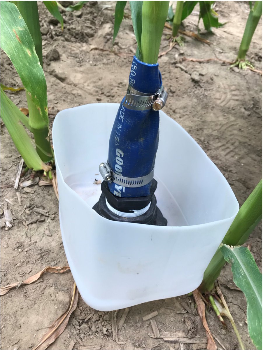 Beck's Hybrids tweet media