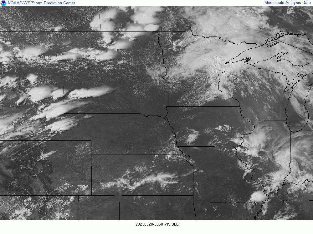 Cheat code will or will not work??? #mnwx