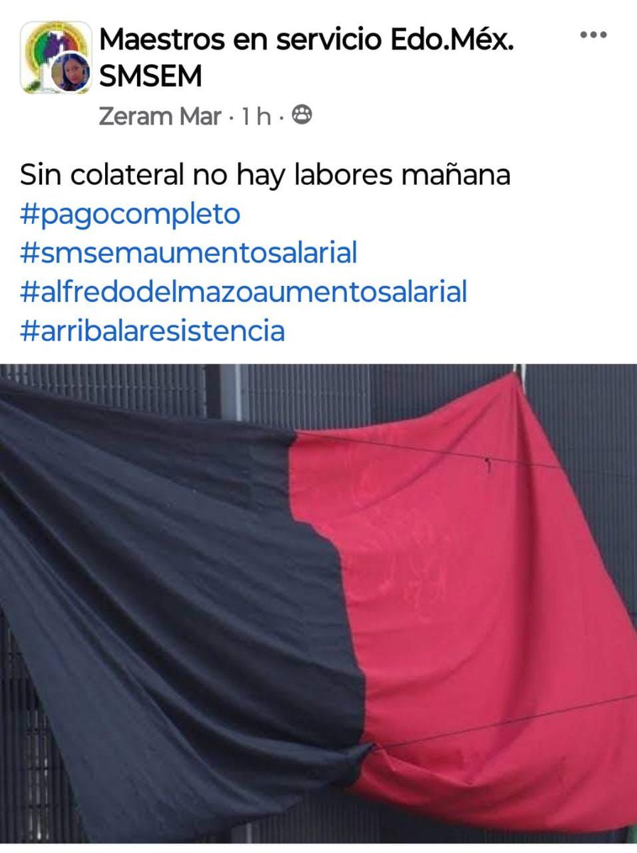 Mariatónica tweet media