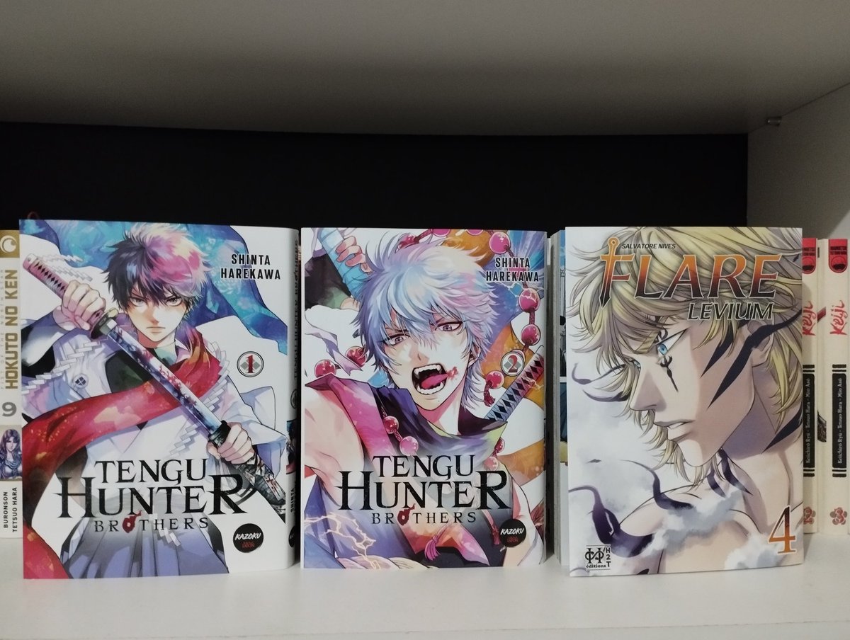 Achat récent, de mardi passé en pleine journée : tome 1 &amp;2 de Tengu Hunter Brother, de Shinta Harekawa et le tome 4 de Flare Levium de Salvatore Nives, qui est le dernier tome qui conclut la série.