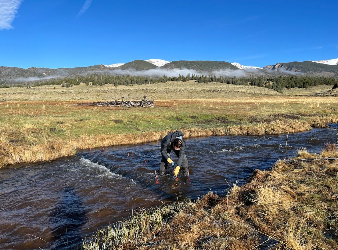 #wherewework FWCE MS student Maret Smith-Miller & undergrad Breanna Simpson work w/ Rio Grande Cutthroat Trout in amazing places like Casias & Costilla Creeks on Costilla Reservoir on Vermejo Park Ranch & in high-mountain lakes like 11,500 ft middle Glacier Lake in northern NM