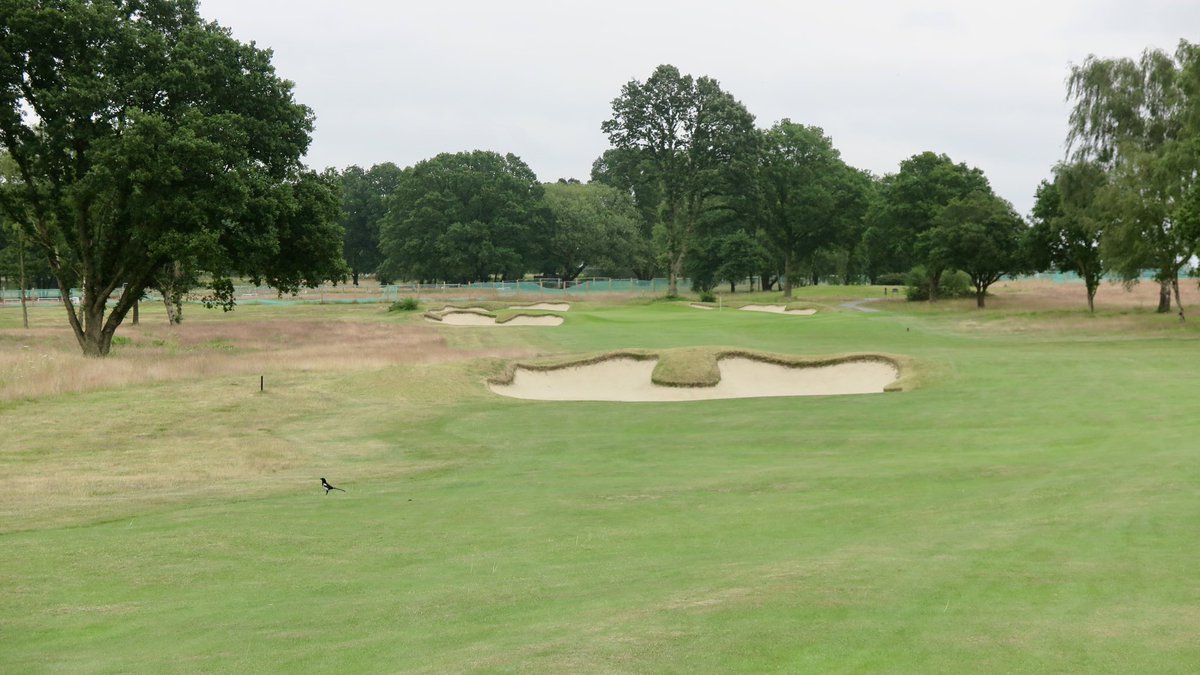 Rob Smith tweet media