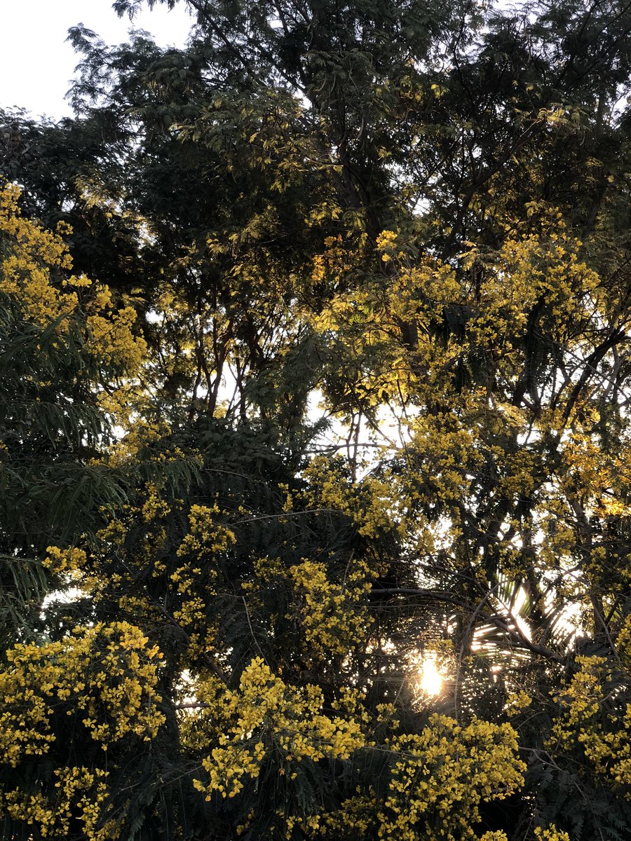 IIss_th's tweet image. 