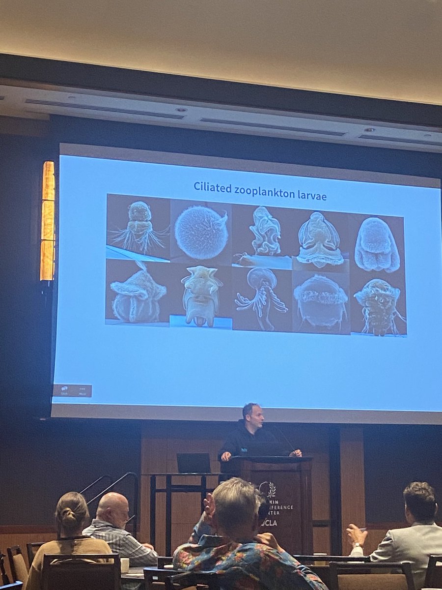 KAleklett's tweet image. More highlights from yesterday’s symposium talks with @ricard_sole discussing liquid brains, @JekelyLab showing us how cute zoo plankton respond to stimuli, Martin Hanczyk on droplet chemotaxis and @drmichaellevin on reprogramming morphology. @LuskinCenter #pushingtheboundaries