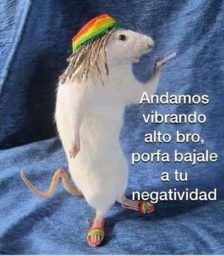 Sexolandia tweet media