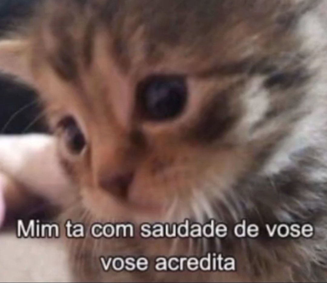 P*rra de cv mlq tu mora em apartamento carlho (@azaphian) on Twitter photo 