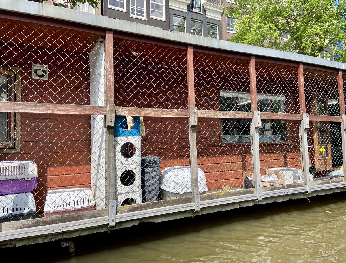 Erin Cooke, MD tweet media