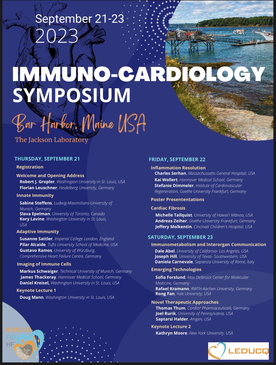 ImmunoFibHF tweet media