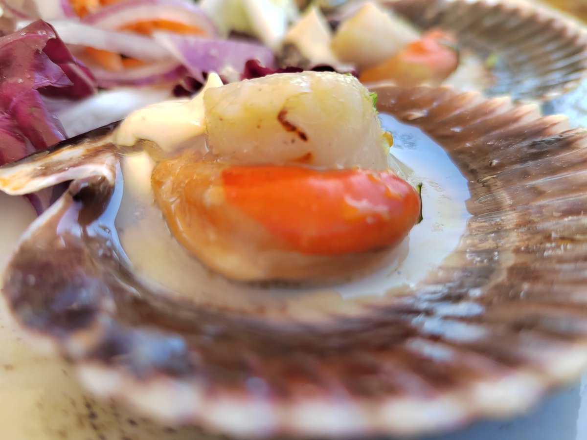 El Detective Gourmet tweet media