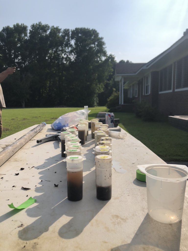 Marissa A. Dellinger tweet media