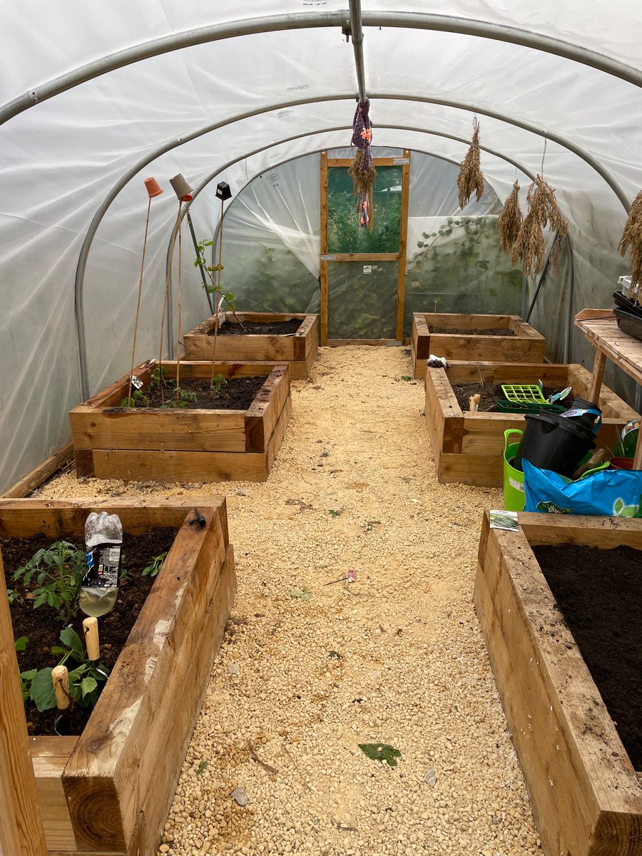 Wilderness Tribe tweet media