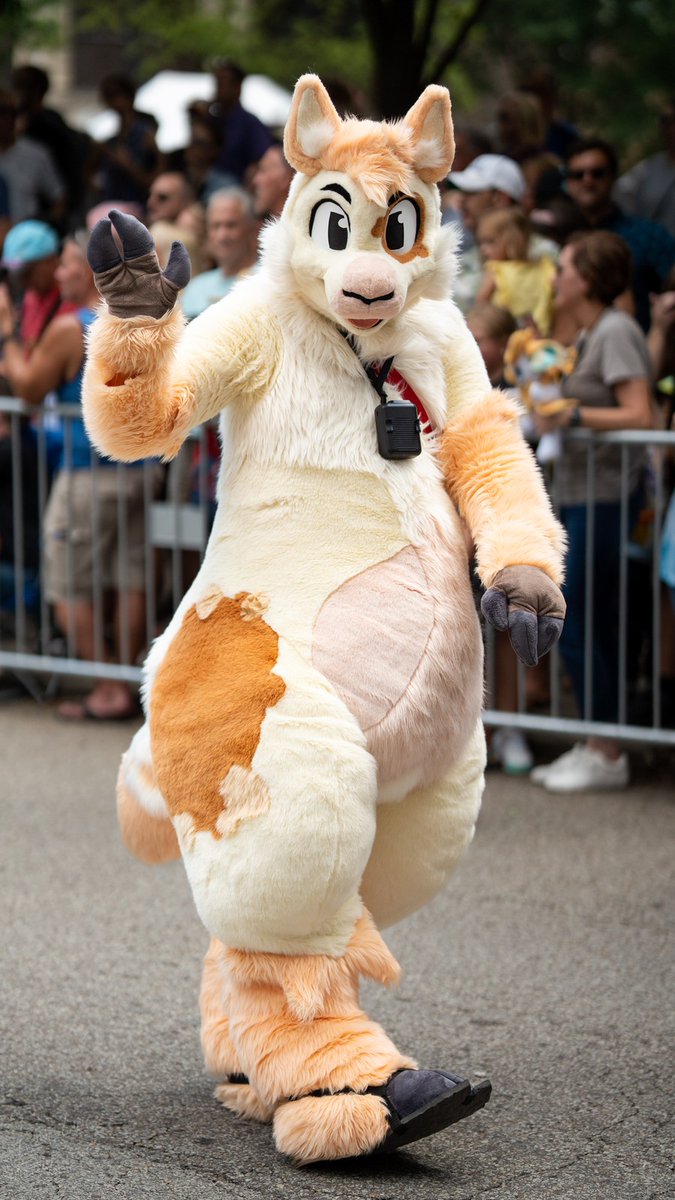 How to find me at #anthrocon2023 : I plan to suit most afternoons, bouncing between the Westin and the con center, and definitely at the fursuit parade! I'll always tweet right when I'm just about to suit up. Seeya there!!

📸: @linglingfennec