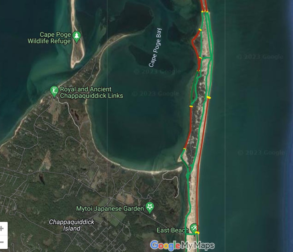 TheTrusteesMV's tweet image. #beachupdatesMV #CapePoge #LelandBeach. Piping plover chicks hatched today! New OSV restrictions on Leland Beach and new OSV openings at Cape Poge Wildlife Refuge.