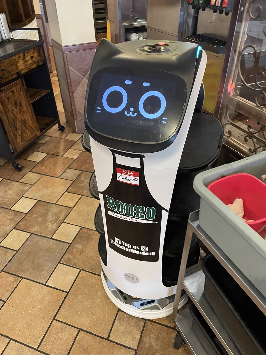 ネコ型配膳ロボットがアメリカでも活躍中！現地の言葉もしっかりマスター