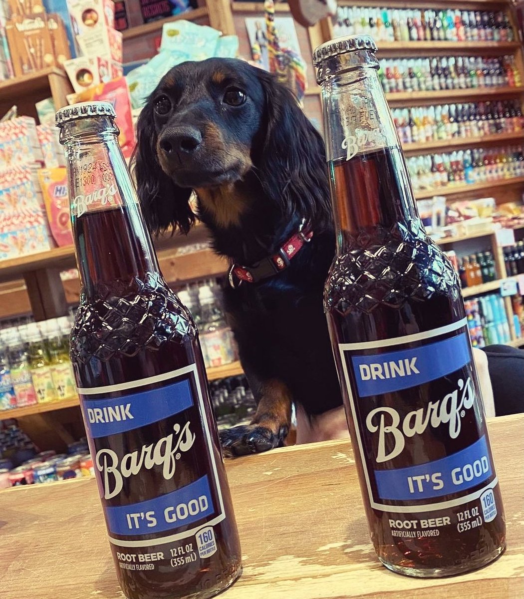 RocketFizz's tweet photo. Spend your dog day afternoons at Rocket Fizz! ๐
#rocketfizz #barqsrootbeer
#rootbeer #dogsofinstagram
#summer
๐ท: Rocket Fizz Kalamazoo, MI
*products vary by location* https://t.co/PMWL7PYxmg