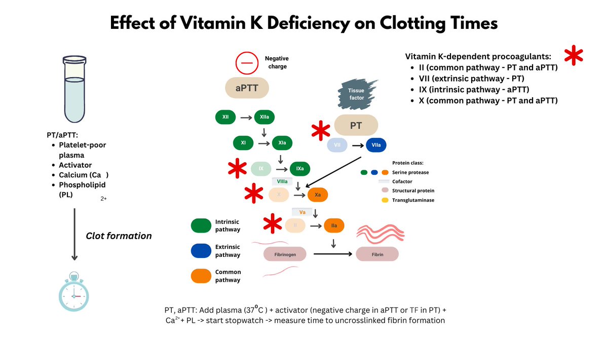 1/9 VITAMIN K DEFICIENCY I recently saw a 34 yo F with a history of