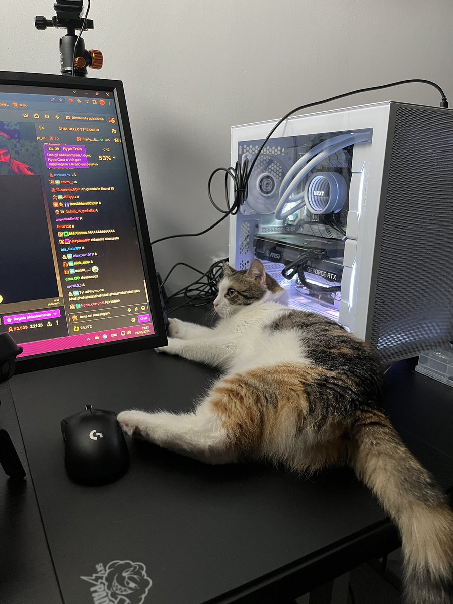 Michael 🐈‍⬛ tweet media