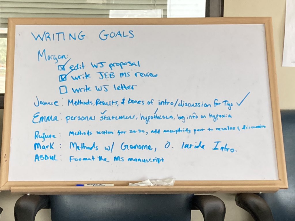 MorganWKelly's tweet photo. Greetings from the inaugural Kelly Lab full-day writing retreat! PIs I definitely recommend writing in the same room as your hard-working graduate students - I probably got twice as much done as I would’ve otherwise, with the addition of some accountability. https://t.co/63HZc7PehB
