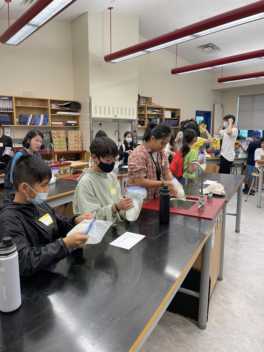 Deena Lewis tweet media