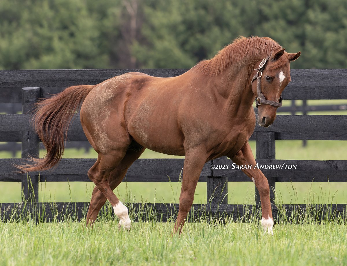 Sarah K Andrew on Twitter: 