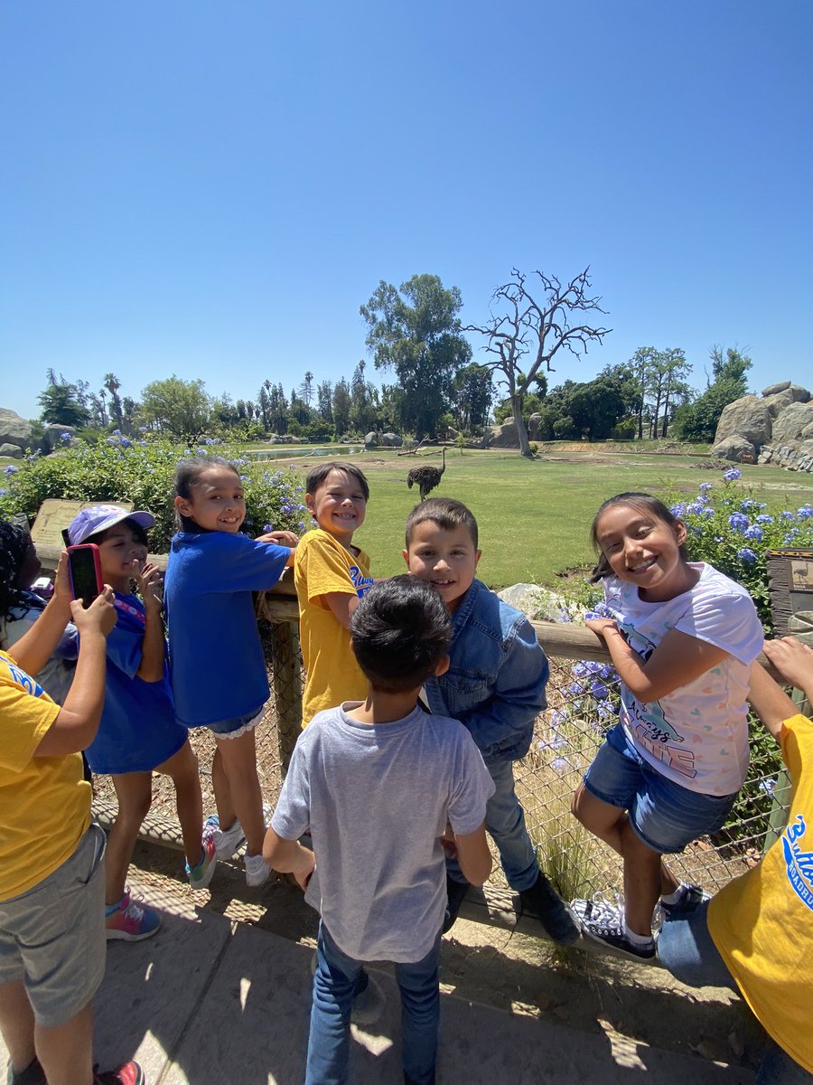 Mrs. Chavez tweet media