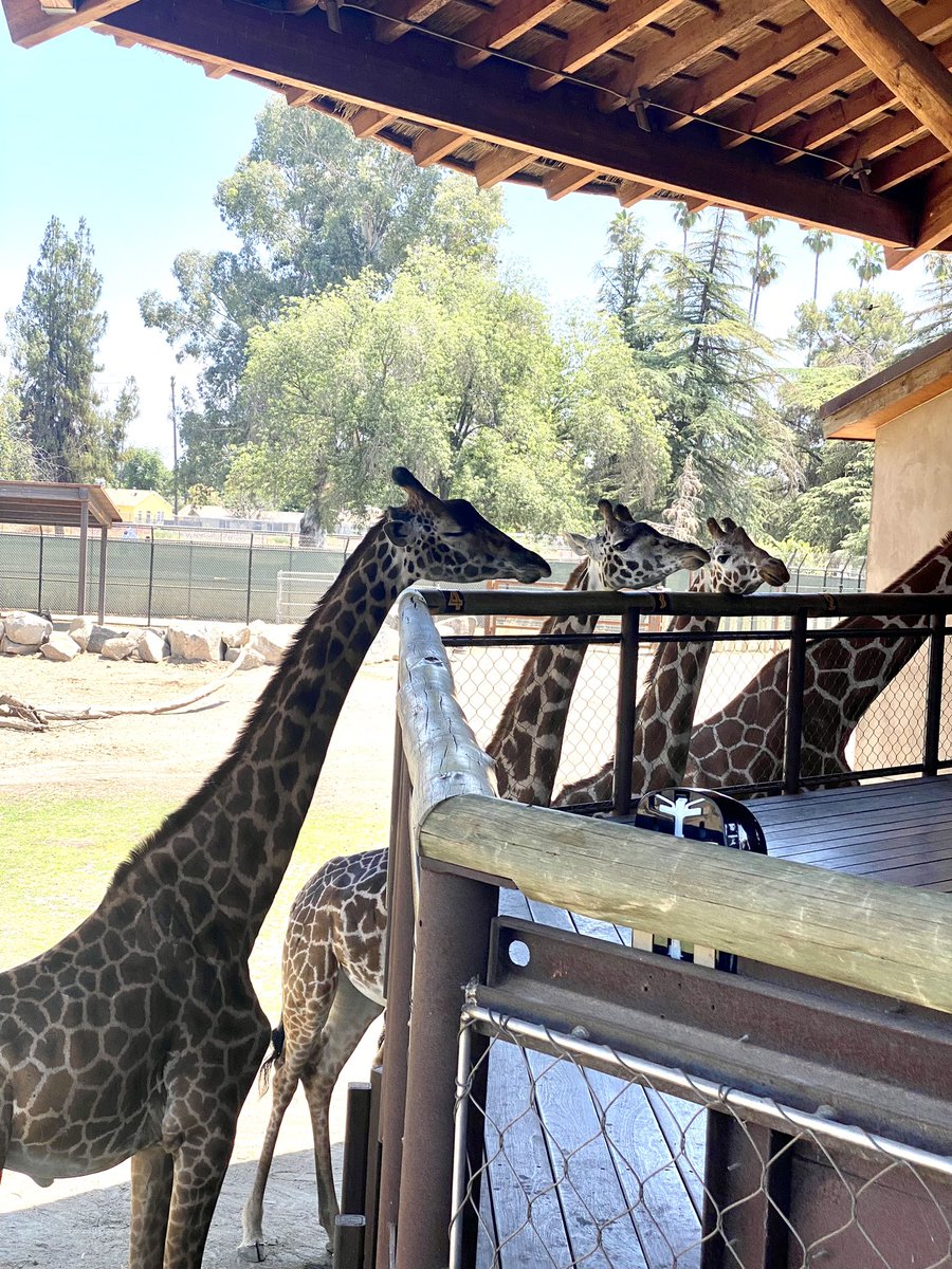 Mrs. Chavez tweet media