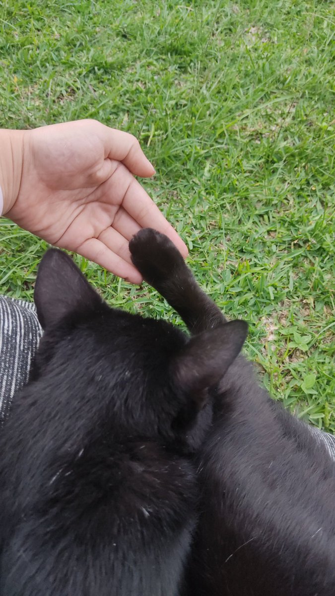 ✨ demos energías de loca/os juntos ✨