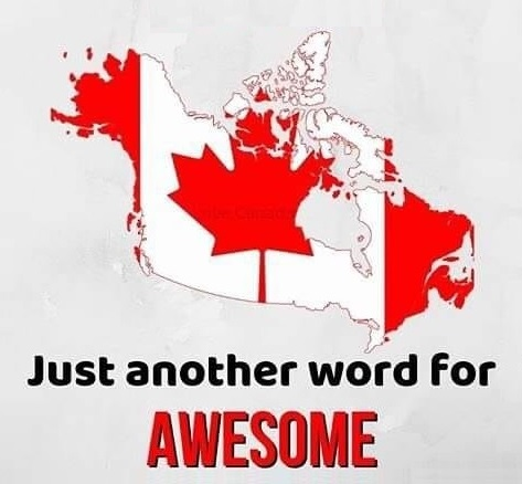 Shop Canadian eh? tweet media