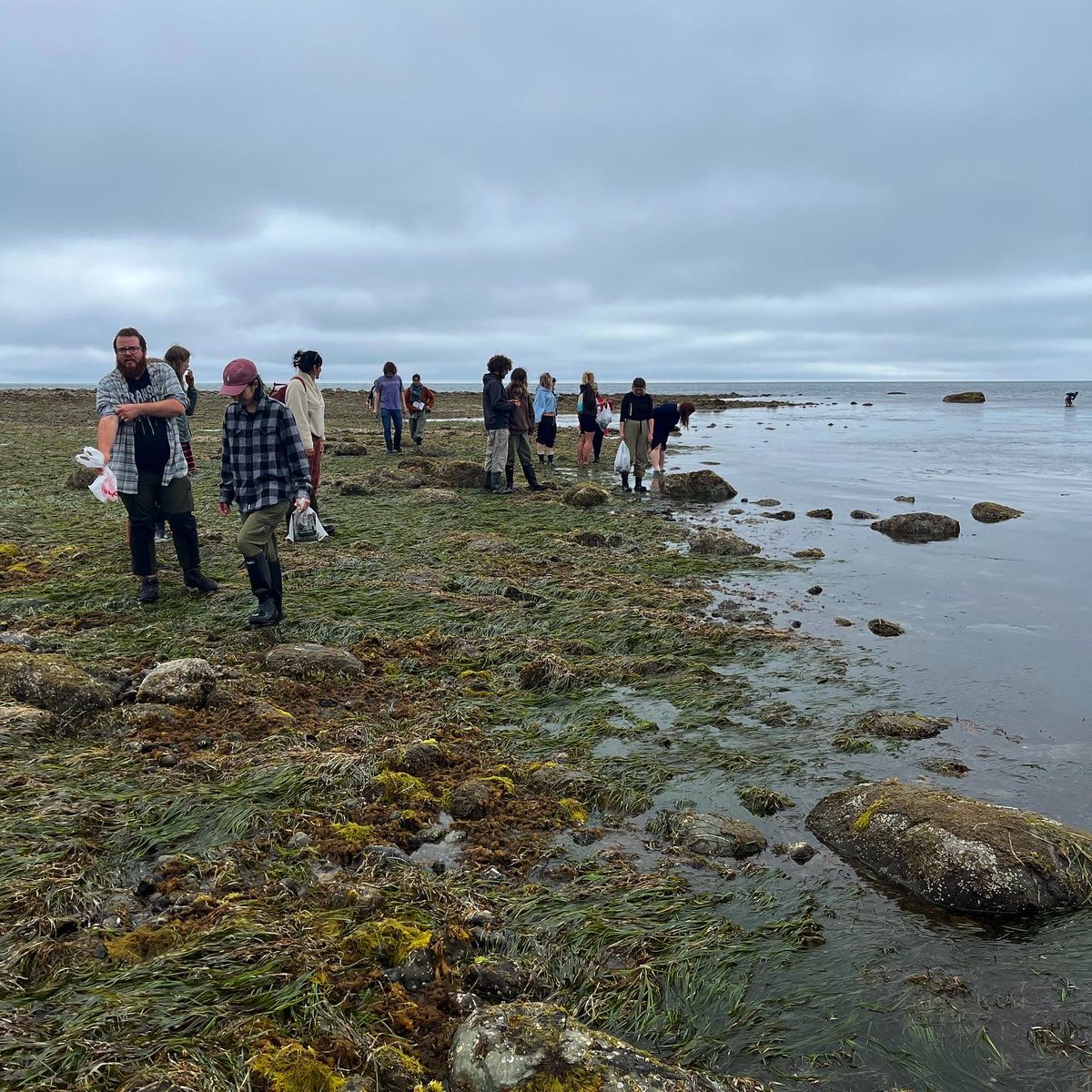 Some recent highlights from the recent weeks! 

#HaidaGwaii #UBCforestry #TotemPole