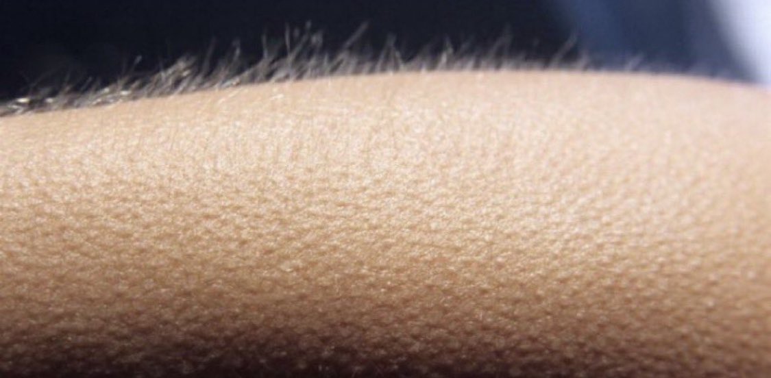 What Bobcat sports moment had you like this?? ⬇️⬇️ I’ll go first “The Bobcats hold” 😼