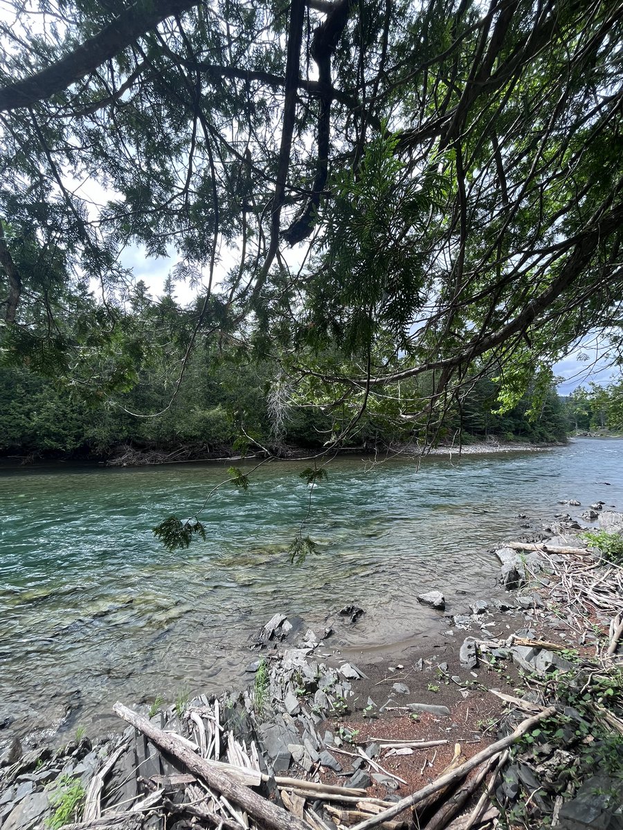 gn

Nature