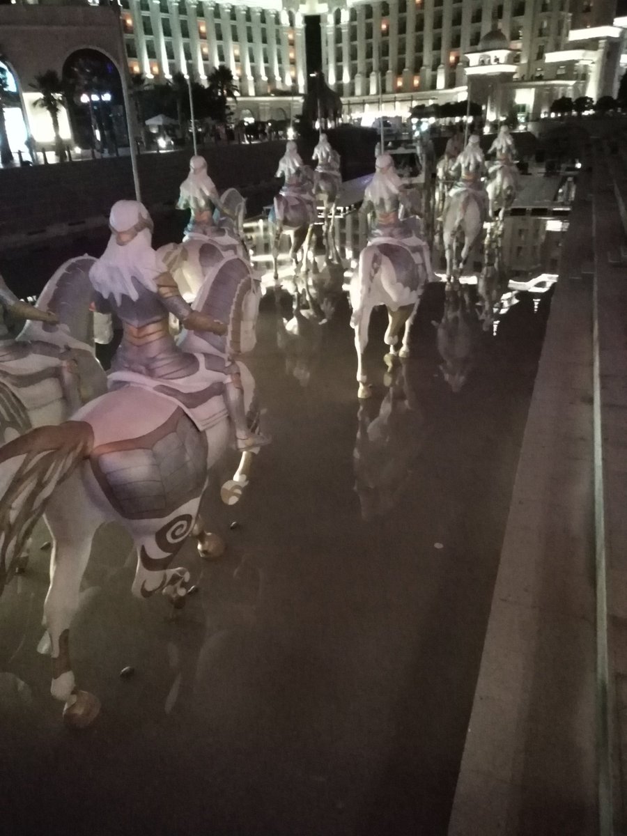 Ceren Serhan (@serhanceren) on Twitter photo 