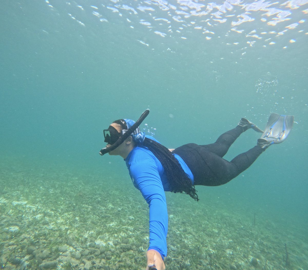 Anjali D. Boyd tweet media