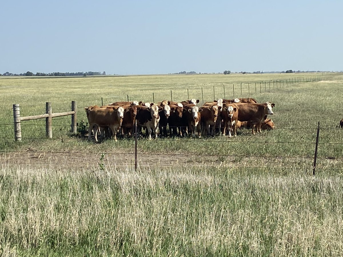 Great to visit the USDA-ARS US Meat Animal Research Center today.  38 years ago I had the great privilege of starting my PhD research here.  Great to see my mentors on the Hall of Fame wall—the incomparable Gordon Dickerson and Larry Cundiff.  #Foundations4Life