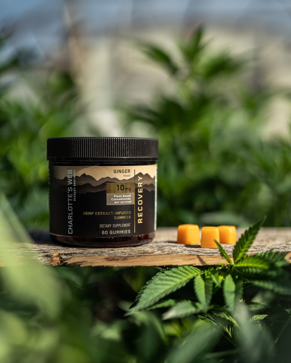 StoneandLeafCBD's tweet photo. Support healthy recovery with our CBD Recovery Gummies. 🌿✨ Packed with ginger, turmeric, and our proprietary hemp extract, these gummies ease inflammation and make movement easier. Embrace natural support for your well-being. #CBDGummies #RecoverySupport https://t.co/ByETMCekem