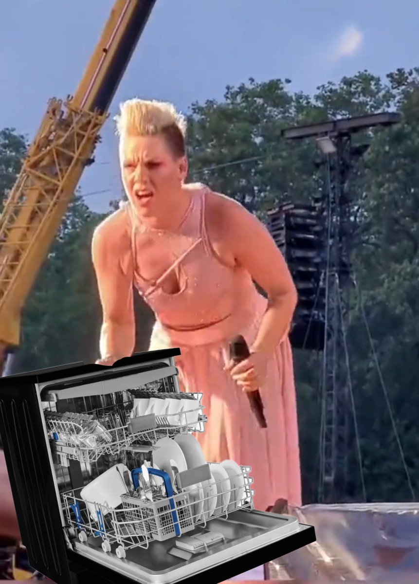 Fan hands P!NK a dishwasher during her show in London.