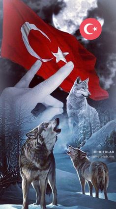 @zohre_cannn @Tuygartuygar @yemezlerabi38 @balaban6447 @aslanylmz81 @Ordprofcahil @onder_calcal @76diri @GunenIlkay @bonnemort @cao_civile @zuleyha0816 @melikedemiryurk @TurkForum1 @refik4x9 @alibozdag5532 @RslBlgnAK @NusretAkpak @Esraola22128971 @muratciray34 🇹🇷🤘🇹🇷🤘🇹🇷🤘🇹🇷🤘🇹🇷🤘🇹🇷🤘🇹🇷