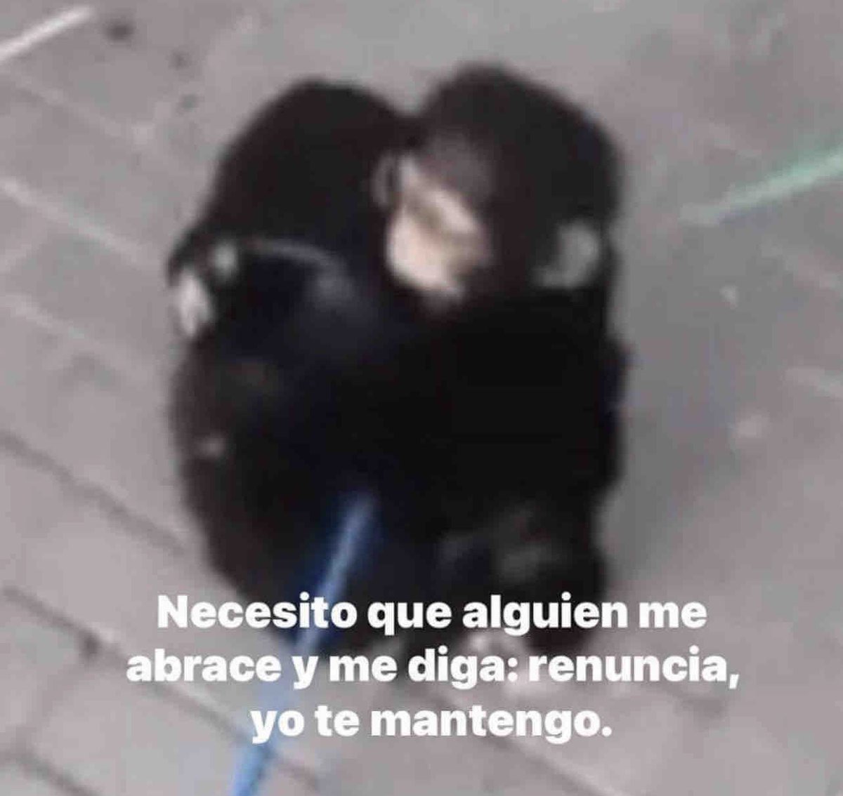 Guarromantico_'s tweet photo. https://t.co/jILF6E67uH