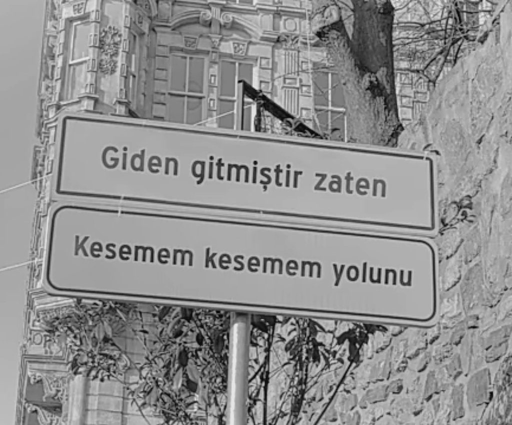 Sezen Aksu (@bensezenn) on Twitter photo 