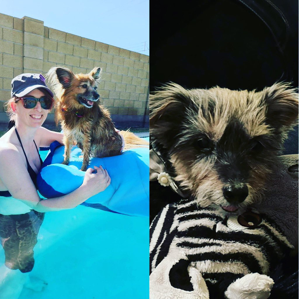 And just like that. 💔
One year ago today our lives imploded. 
Precious Sadie and Tatiana stole my heart from the start and there they will always live.❤️
I know you’re both watching over me as I take good care of your Mammas. 
Until me meet again. Love and miss you.