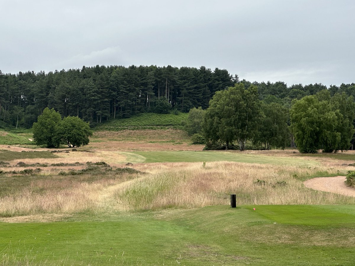 golf course enthusiast tweet media