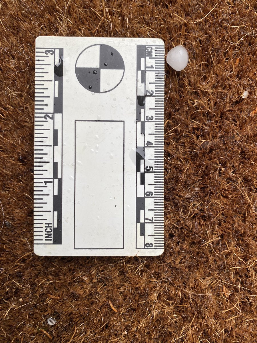 Chris Kalansky tweet media